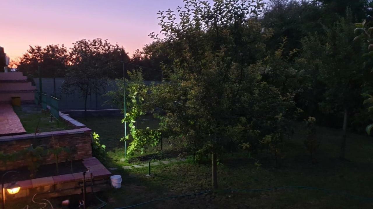 Pensiunea Brazi Turda Exterior foto